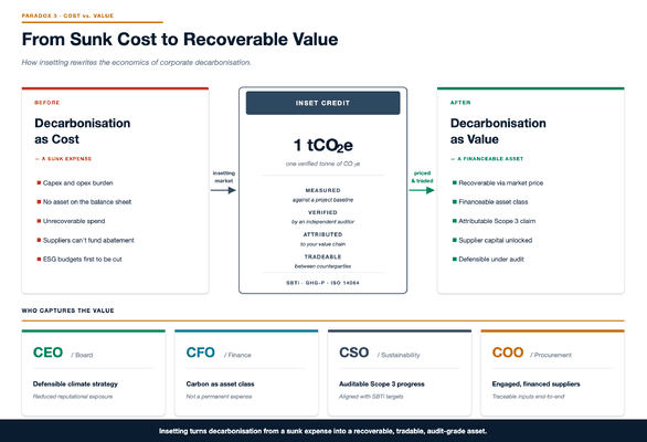 Diagram 'From sunk cost to recoverable value': decarbonization as a cost before, one tonne of CO2e as an inset credit in the middle, and decarbonization as an asset after, with what the CEO, CFO, CSO and COO each gain.